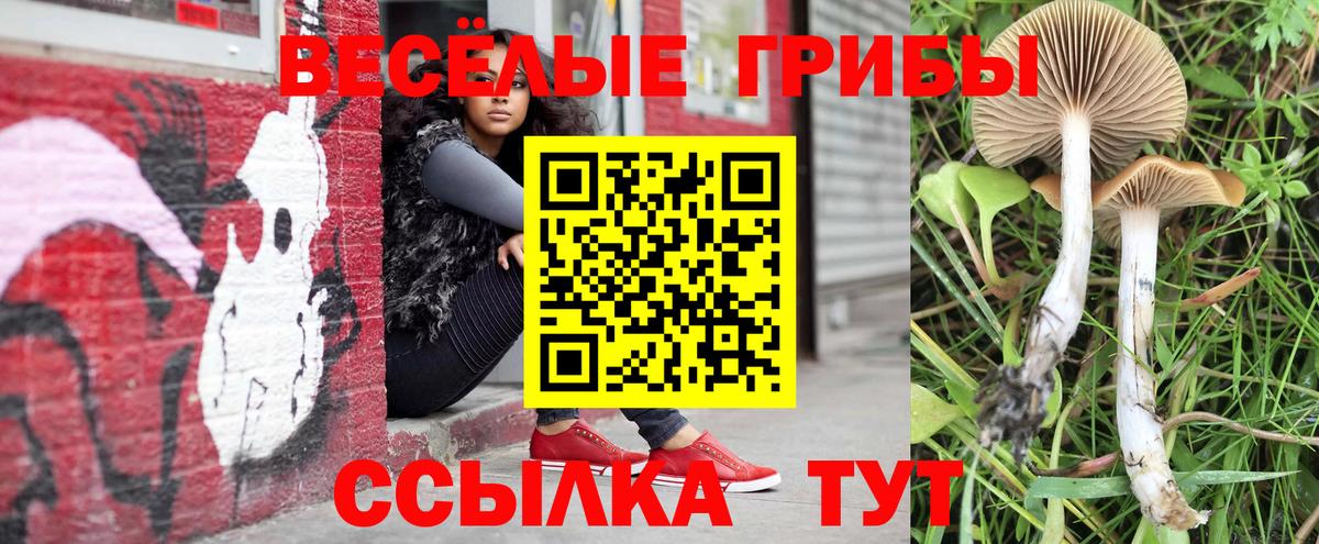 Галлюциногенные грибы мухоморы Дзержинский