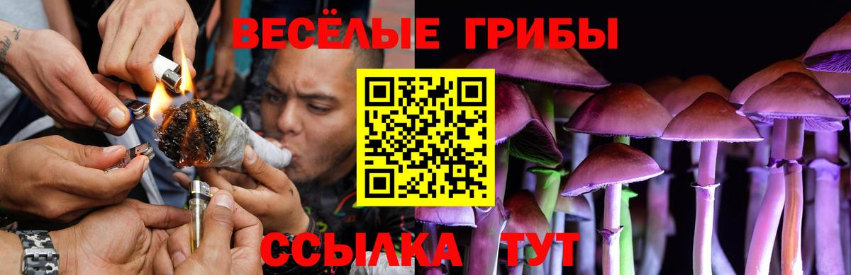 Псилоцибиновые грибы ЛСД  Вход с VPN  Дзержинский 
